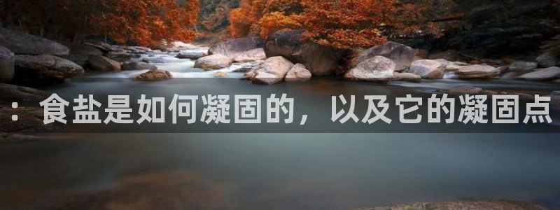 威九国际精