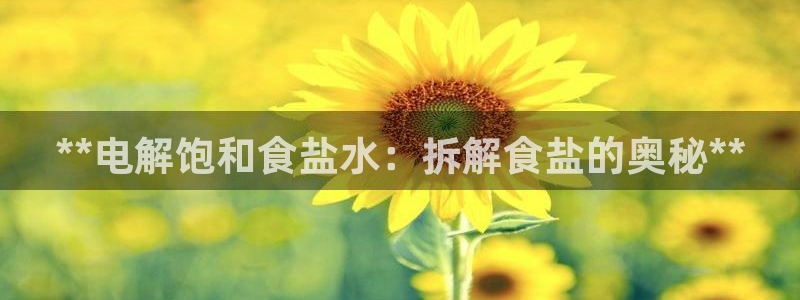 78m.ppt威九国际官网版