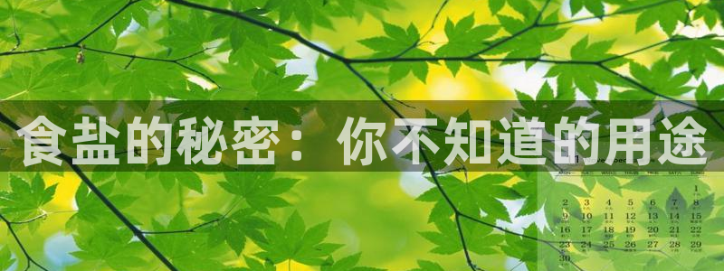 威九国际ppt免费下载