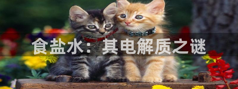 威九国际网站入口rdquo