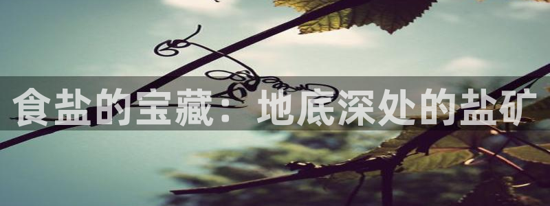 威九国际游戏