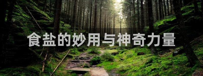 威九国际电视