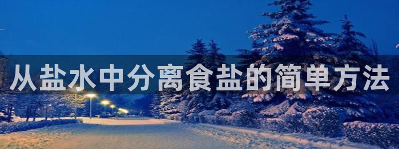 威九国际的金融服务