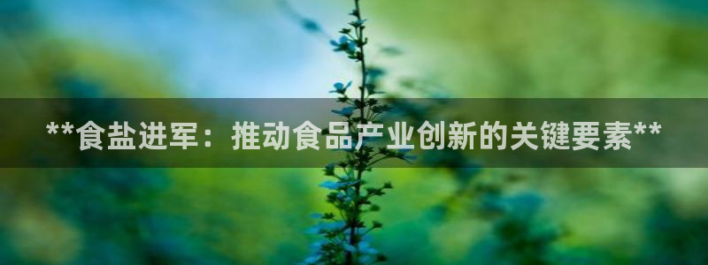 威九国际取款不到账