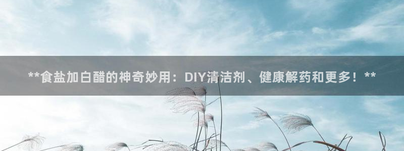 威九国际动漫