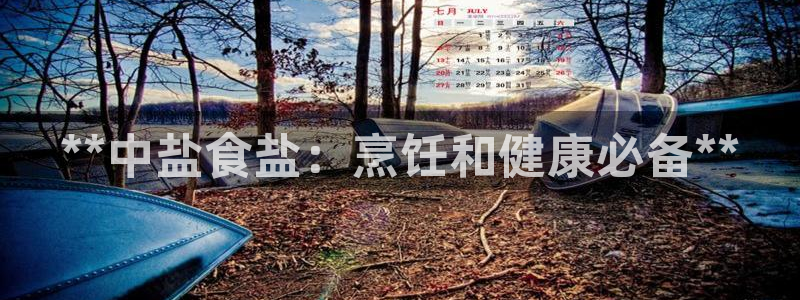 威九国际v8