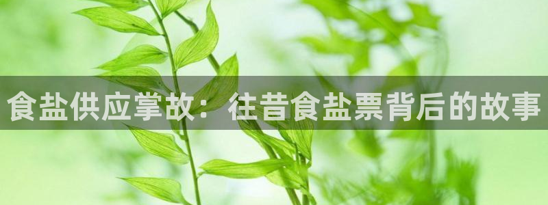 威九国际精选
