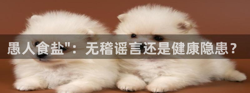 威九国际官方网站最新版本更新内容介绍