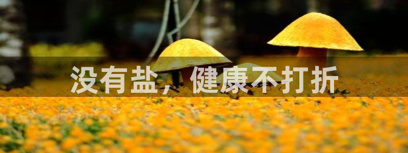 保定威九网络科技有限公司