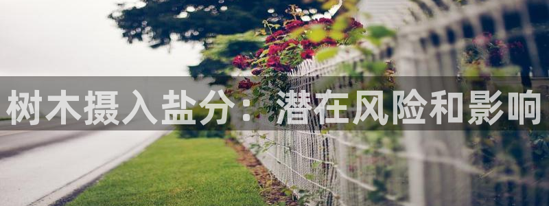 威九国际ft