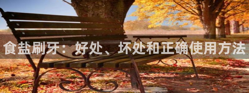 威九国际app网站