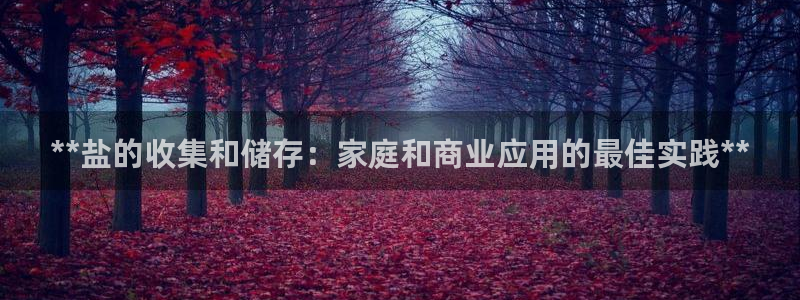威九国际app哪个地方