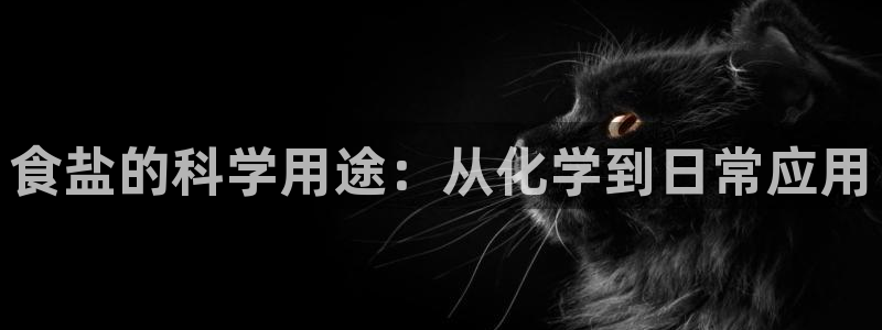 78mapp威九国际成长视频