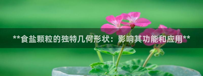 威九国际电影2022年9月月
