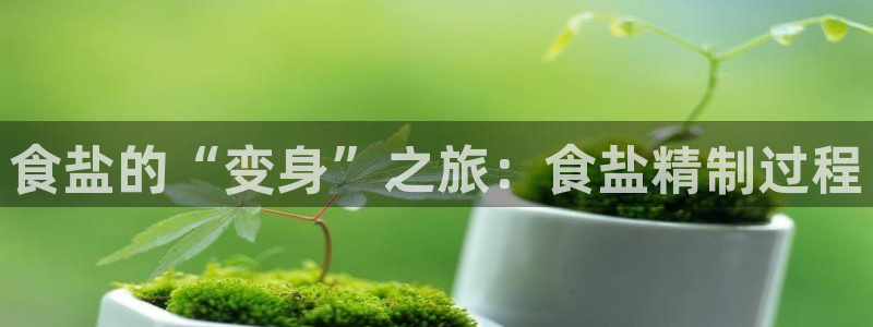 威九国际海域