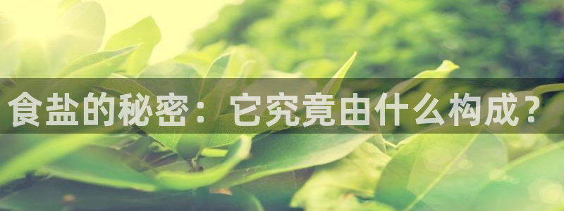 威九国际入口一