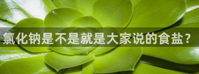 威九国际女主名字