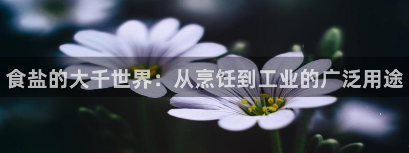 威九国际FT