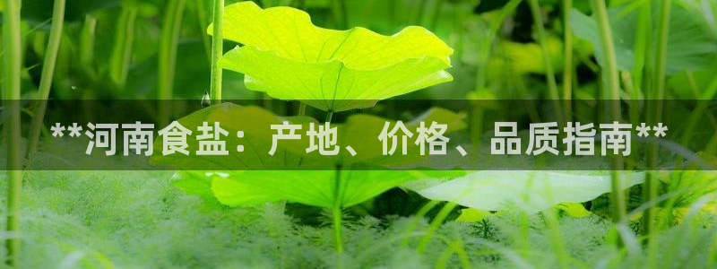 威九国际网站入口官网免费下载