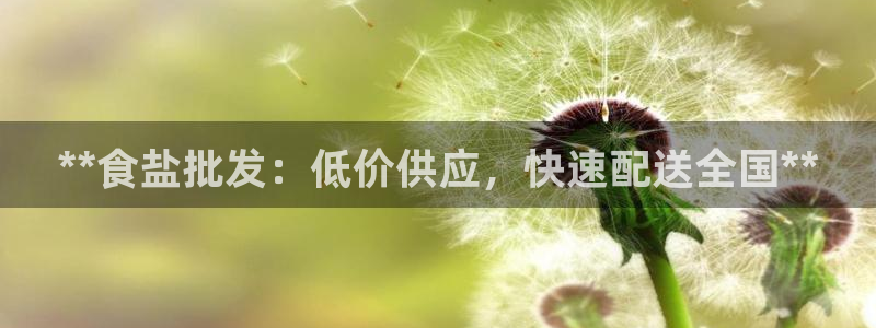 威九国际78mb特点