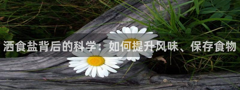 威九国际演员名单