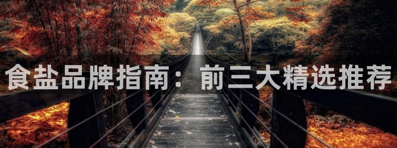 威九国际正规吗