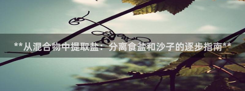 威九国际X8
