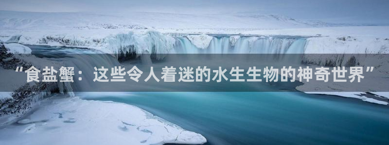 威九国际APP入口
