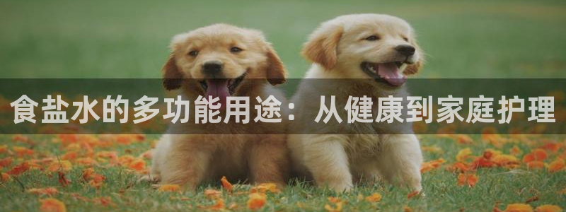 威九国际小广告
