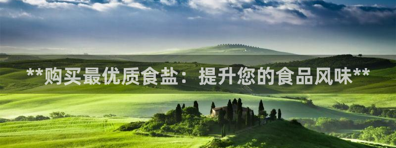 威九国际网站是多少