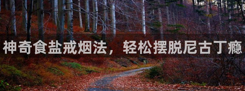威九国际女神