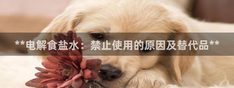 威九国际网站经常打不开