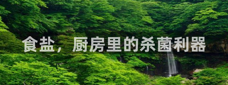威九国际78app