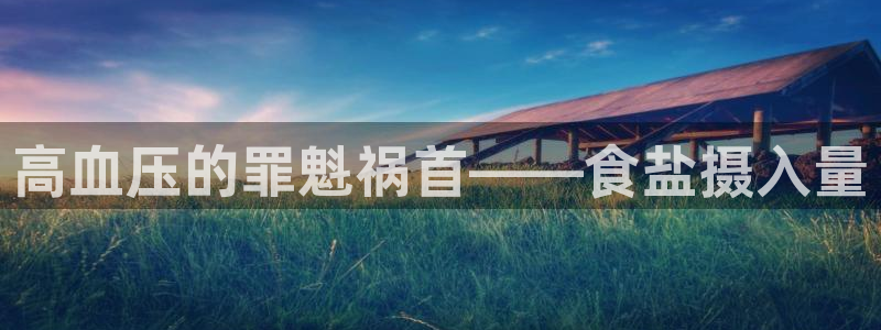 威九国际66m66m