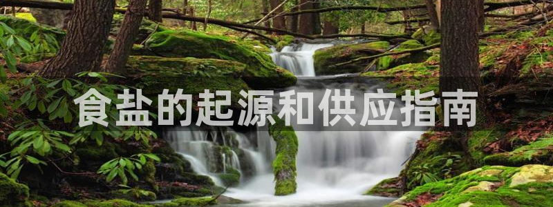 威九国际Info