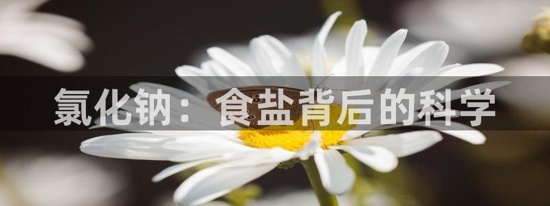 威九国际女主名字