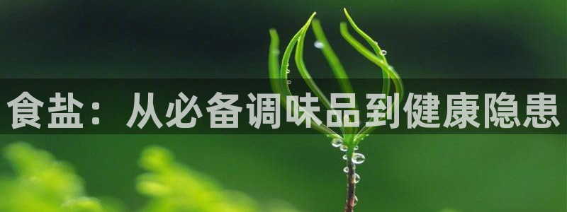 威九国际APP入口