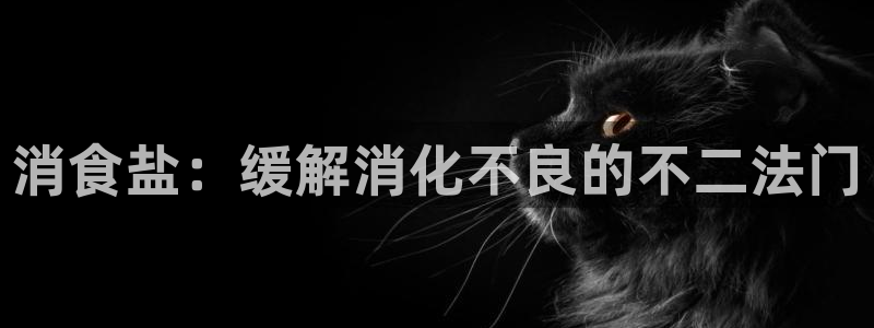 威九国际电视怎么样