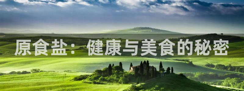 威九国际ppt免费下载网址