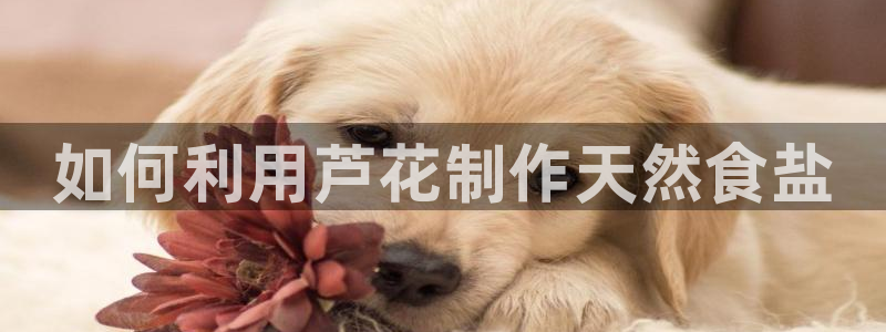威九国际APP那个地方