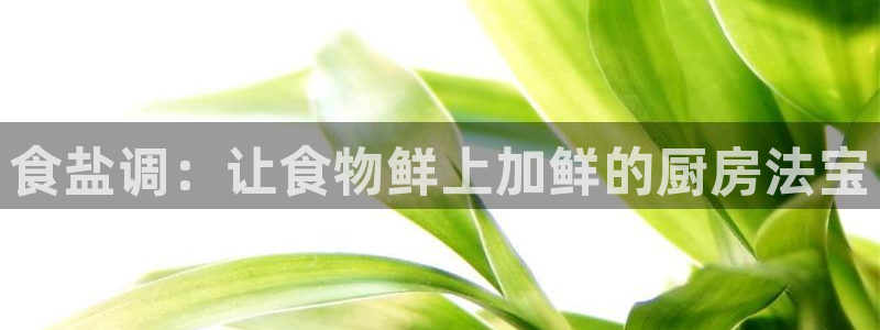 威九国际软件