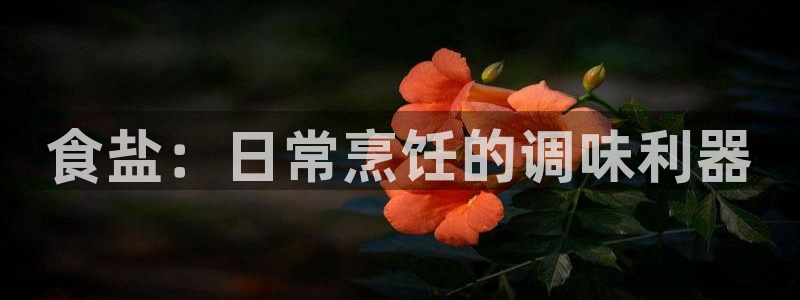 威九国际娜娜