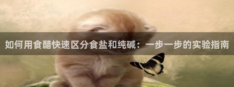 威九国际