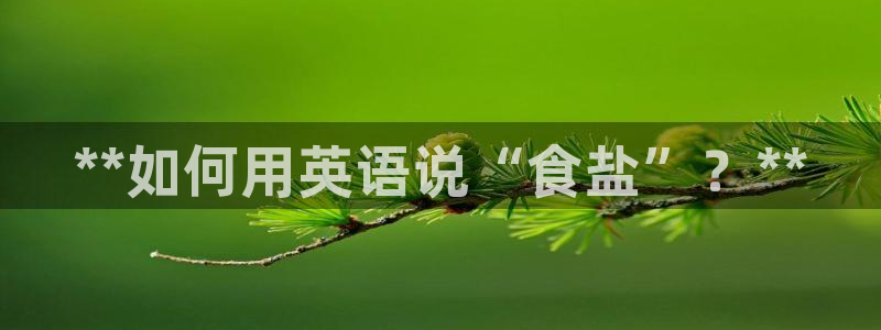 威九国际