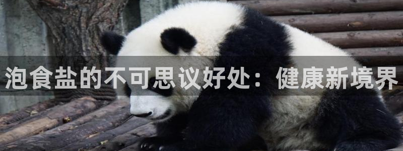 威九国际地址