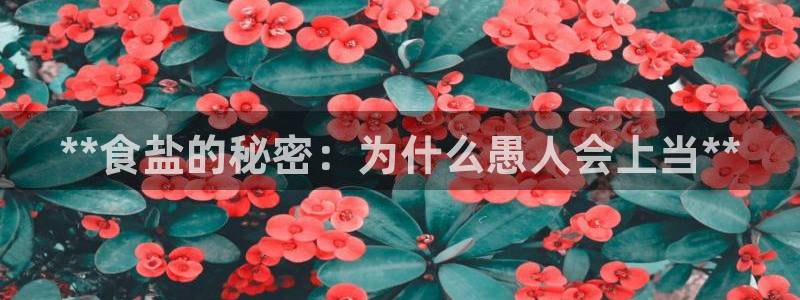 威九国际mb