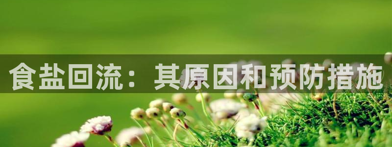 威九国际留学