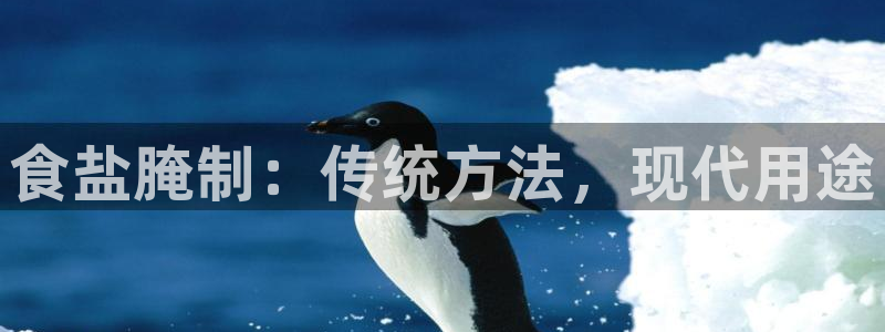 威九国际的金融服务