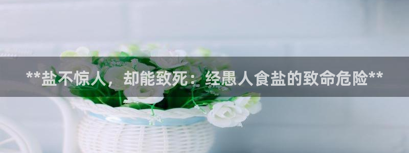 威九国际旗下艺人