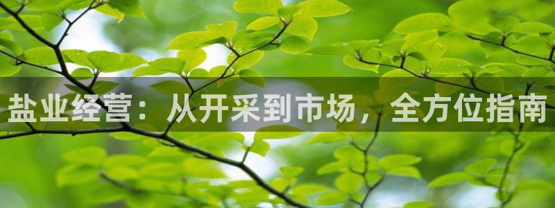 威九国际最受欢迎的功能